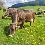 Фермерский дом Wendelhof