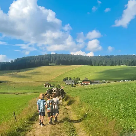 Lejlighed Wendelhof Eisenbach (Breisgau-Hochschwarzwald)