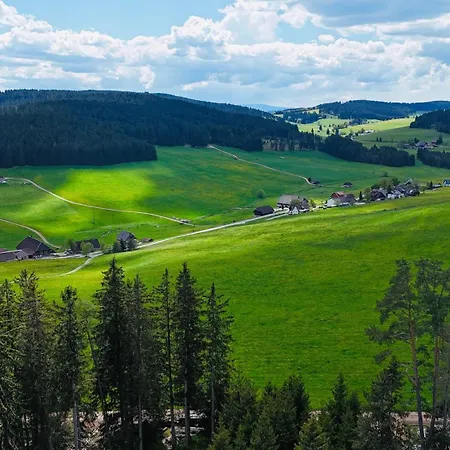 Wendelhof Lejlighed Eisenbach (Breisgau-Hochschwarzwald)