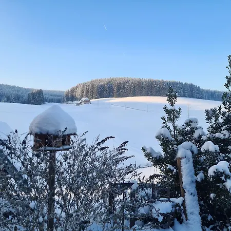 Lejlighed Wendelhof Eisenbach (Breisgau-Hochschwarzwald)