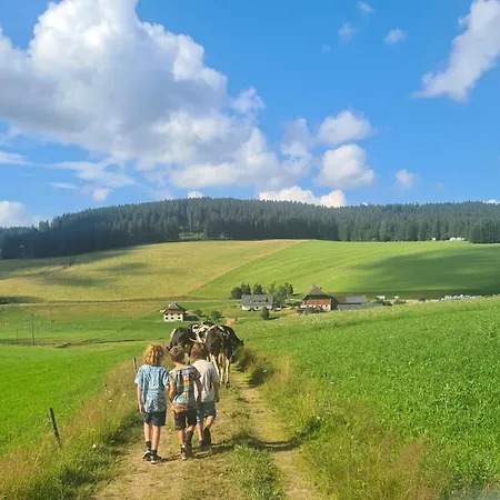 Wendelhof アイゼンバッハ