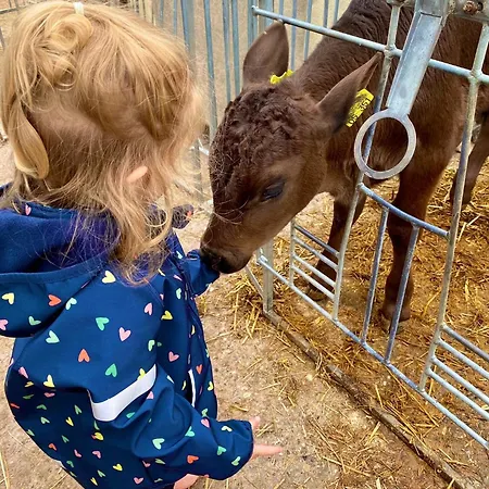 Wendelhof Gospodarstwo agroturystyczne