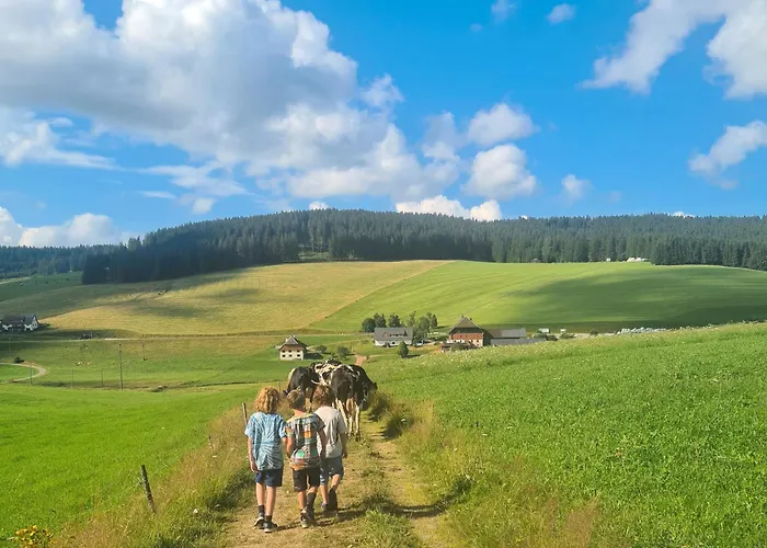 Apartament Wendelhof Eisenbach (Breisgau-Hochschwarzwald)