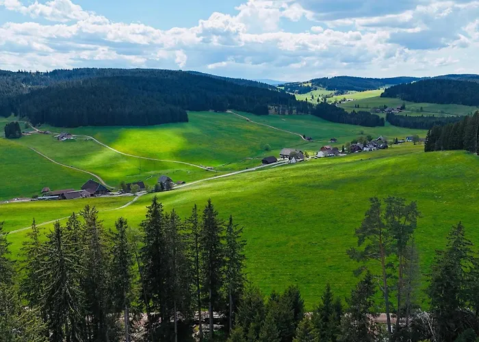 Wendelhof Apartament Eisenbach (Breisgau-Hochschwarzwald)